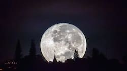 Calendario lunar de marzo: descubre cuáles son los mejores días para observar la Luna de Gusano