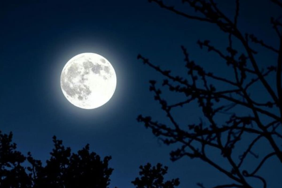 Conoce cuándo podrás ver la Luna Llena de junio.
