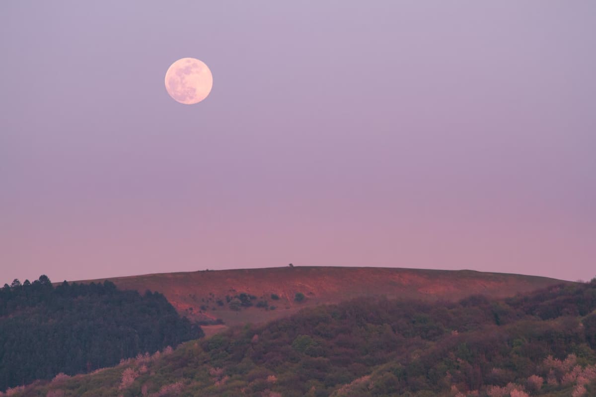 Conoce cuándo verás el evento.