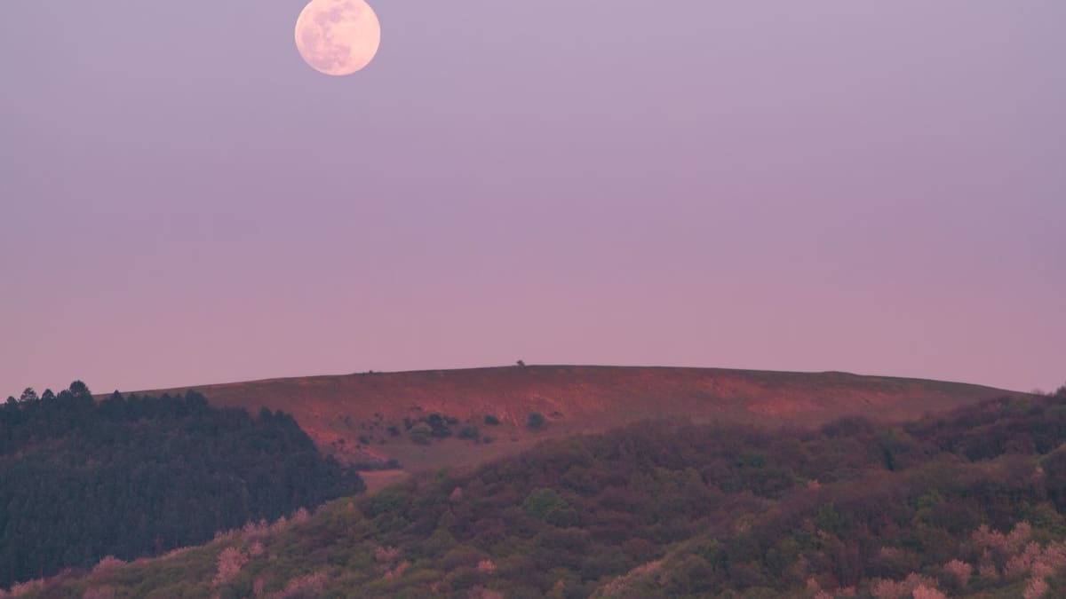 Luna Rosa en Chile: ¿Qué día y a qué hora podremos verla?