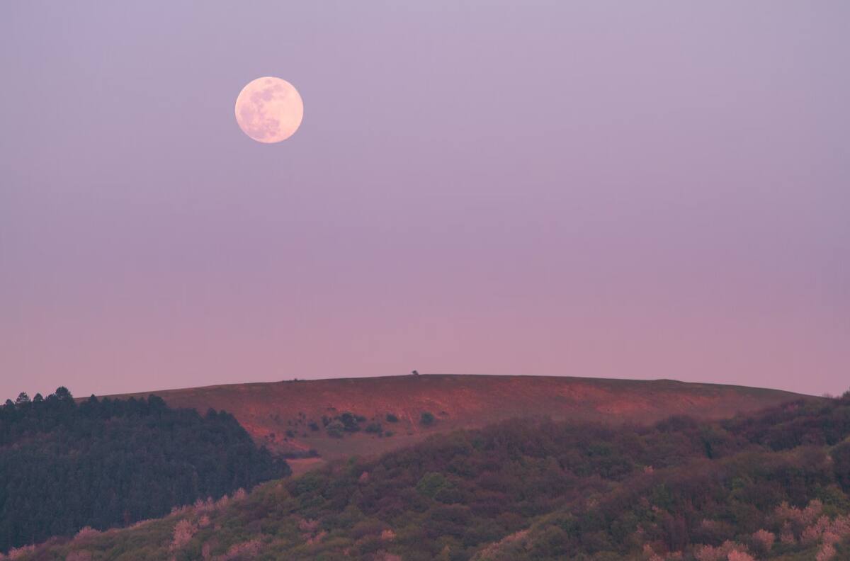 Luna Rosa en Chile: ¿Qué día y a qué hora podremos verla?