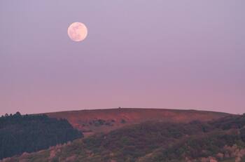 Luna Rosa en Chile: ¿Qué día y a qué hora podremos verla?