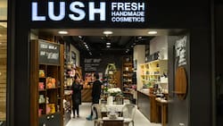 Tienda de cosméticos Lush anuncia nuevas aperturas en Chile: Santiago y Temuco entre las ciudades elegidas