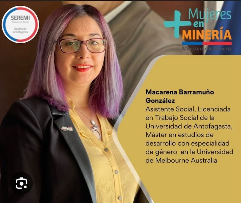 La ahora, exseremi de Minería estaba con licencia médica desde agosto de 2024.