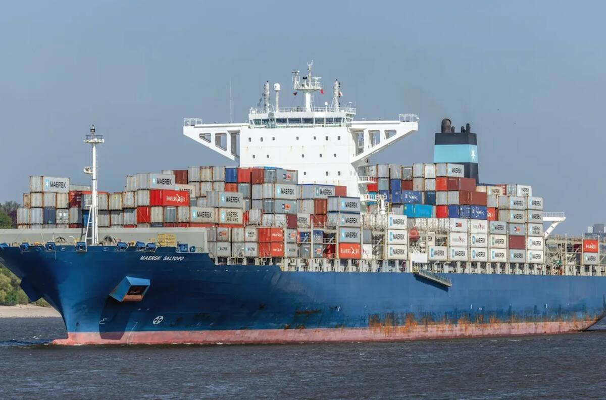 China destruye más de 5 millones de cajas de fruta chilena: pérdidas se estiman en US$120 millones