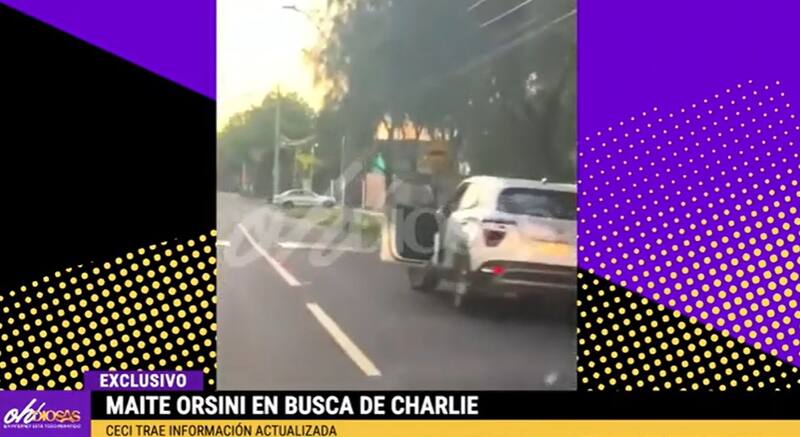 Maite Orsini fue en búsqueda del perro que adoptó con Jorge Valdivia. Créditos: Pantallazo YouTube