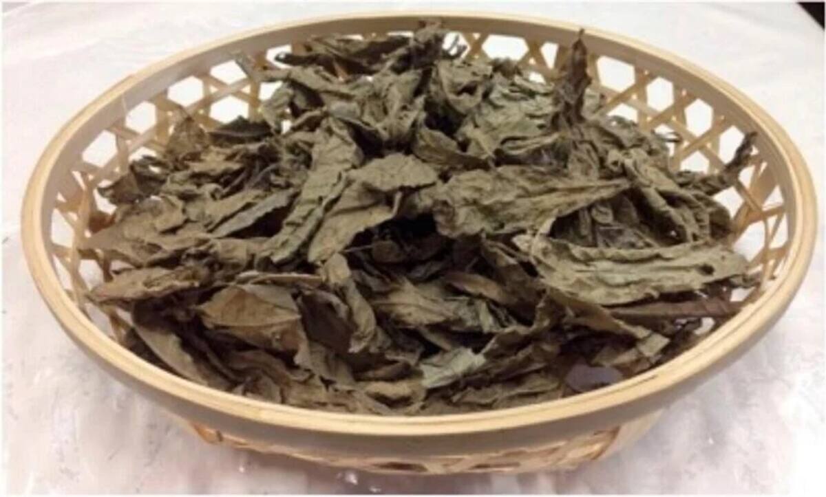 Esta planta china ya había sido estudiada por sus efectos contra el hígado graso.