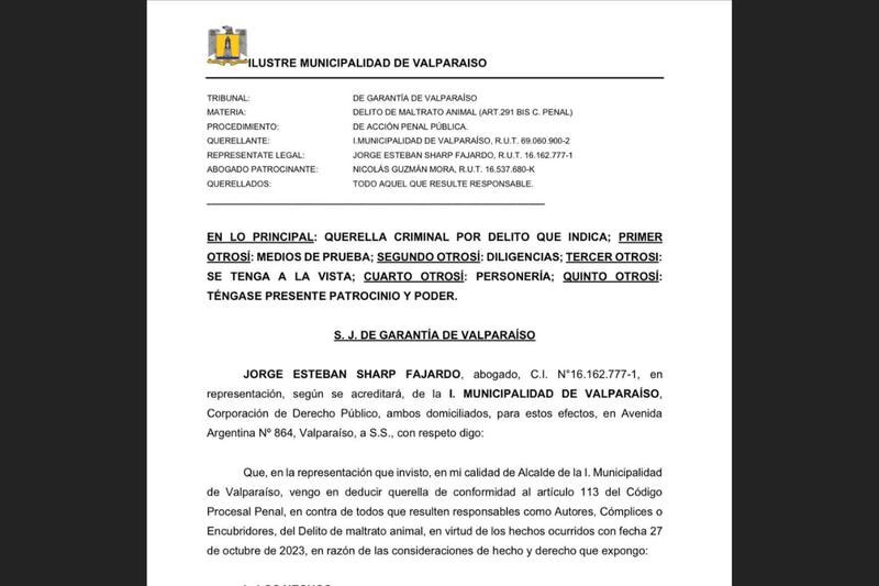Municipalidad presenta querella por maltrato animal en Valparaíso.
