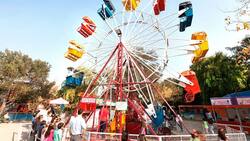 Vive un “Verano Bomba” en Mampato estas vacaciones