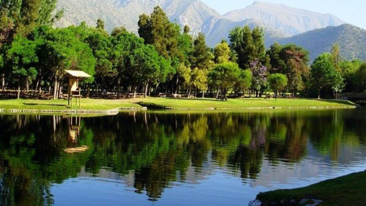 Un oasis inserto en la Quinta Región: El manantial de agua cristalina ubicado a casi 2 horas de Santiago