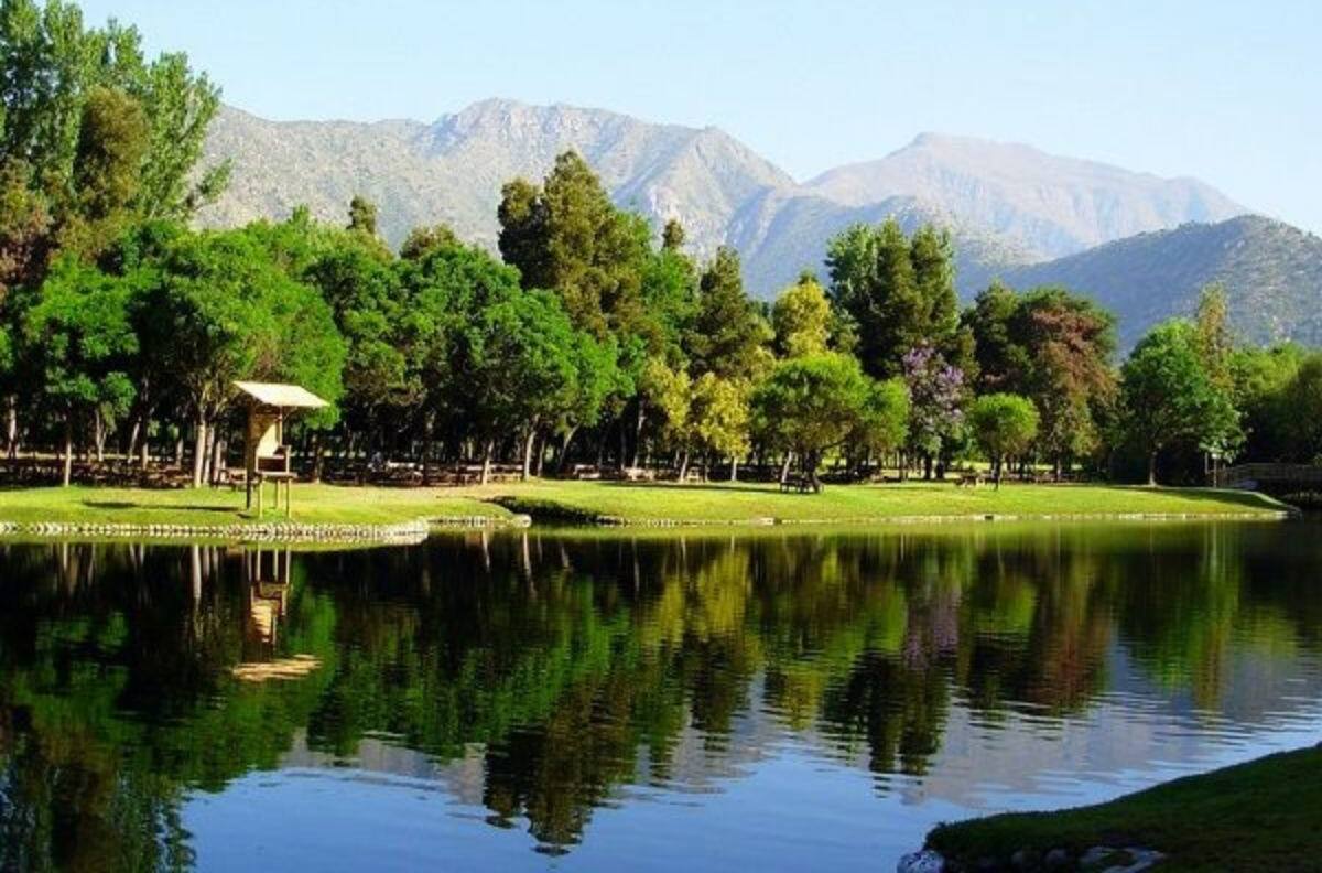 Un oasis inserto en la Quinta Región: El manantial de agua cristalina ubicado a casi 2 horas de Santiago