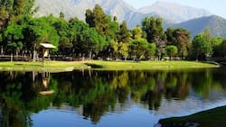 Un oasis inserto en la Quinta Región: El manantial de agua cristalina ubicado a casi 2 horas de Santiago