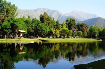 Un oasis inserto en la Quinta Región: El manantial de agua cristalina ubicado a casi 2 horas de Santiago