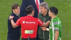 VIDEO | Con un Pellegrini enojado: árbitro decide suspender el Sevilla-Betis y así reacciona el chileno