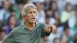 Pellegrini ya tiene rival: Betis enfrentará al Elche en la Copa del Rey