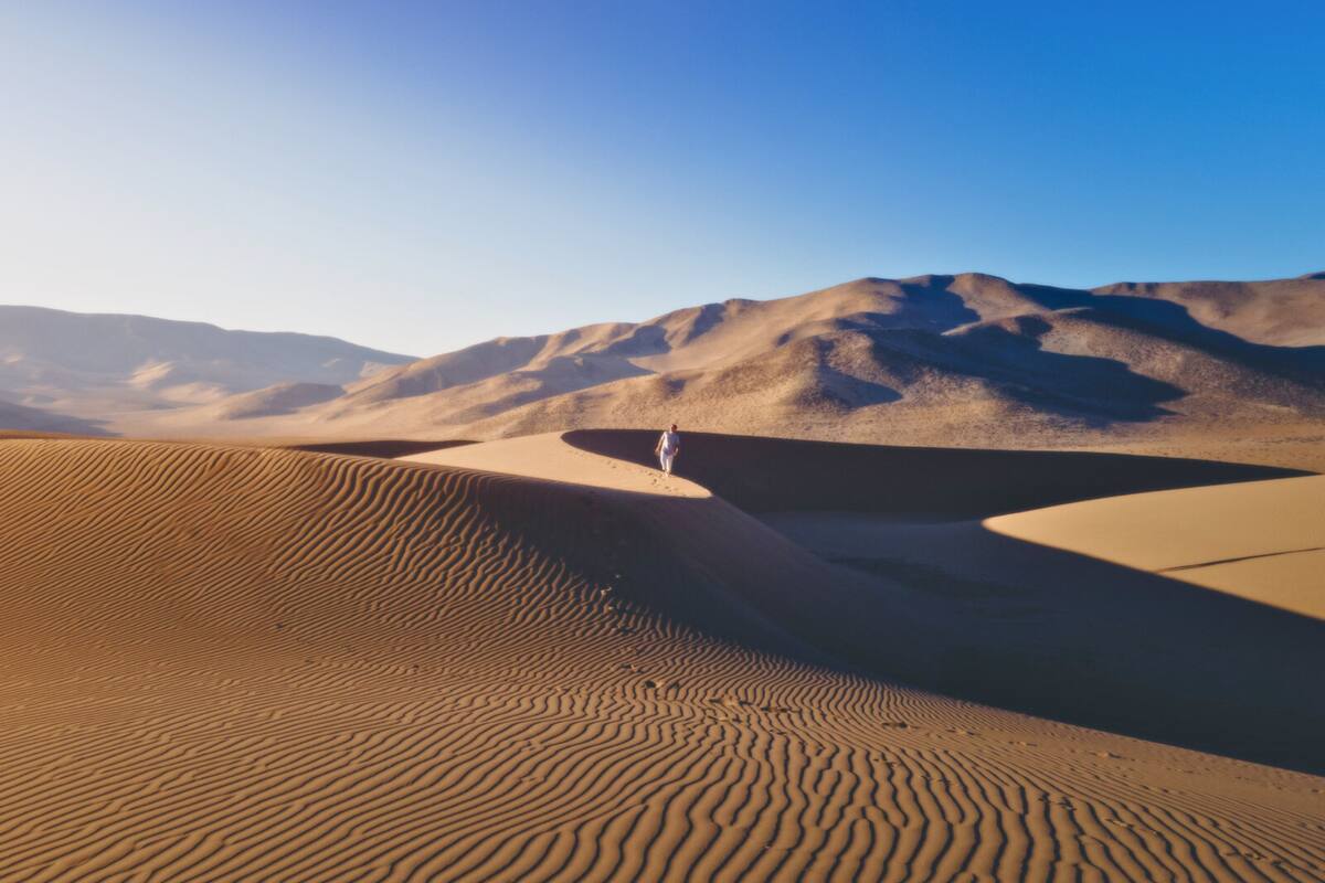 Un infaltable en la Región de Atacama. Créditos: chile.travel.
