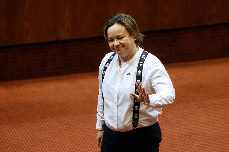 Las declaraciones de la diputada.