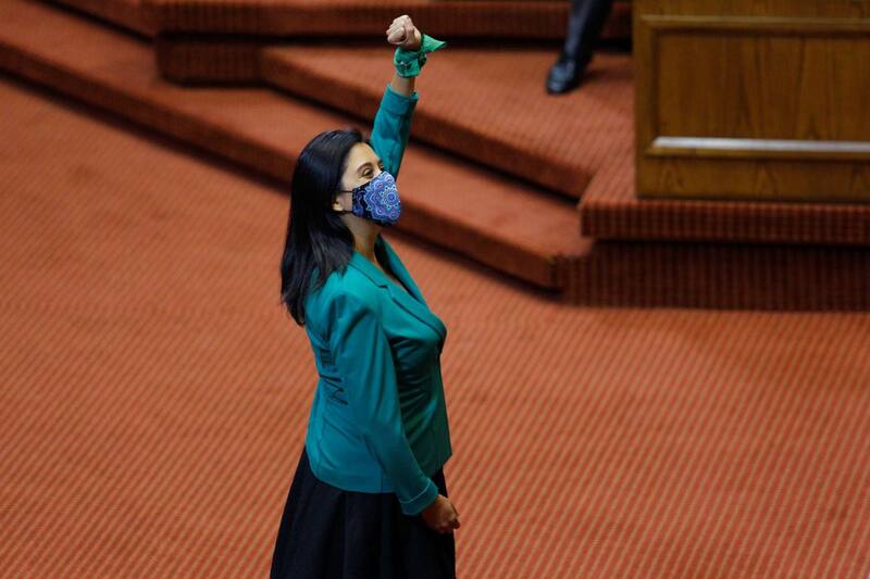 Reemplazará a Javiera Toro, quien asumió como nueva ministra de Desarrollo Social.