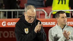 Reunión clave en Uruguay para definir el futuro de Marcelo Bielsa: se habla de renuncias masivas a la Celeste