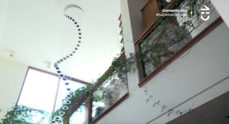 Las enredaderas que tiene en su casa / CHV