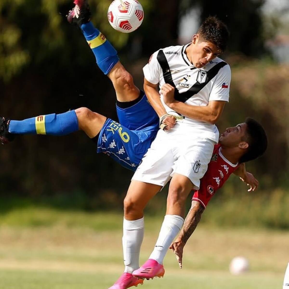 Uno de los refuerzos de Santiago Morning.