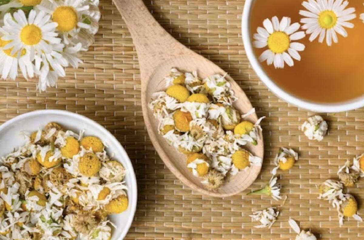 Termina con las manchas y luce un tono uniforme en tu rostro con manzanilla