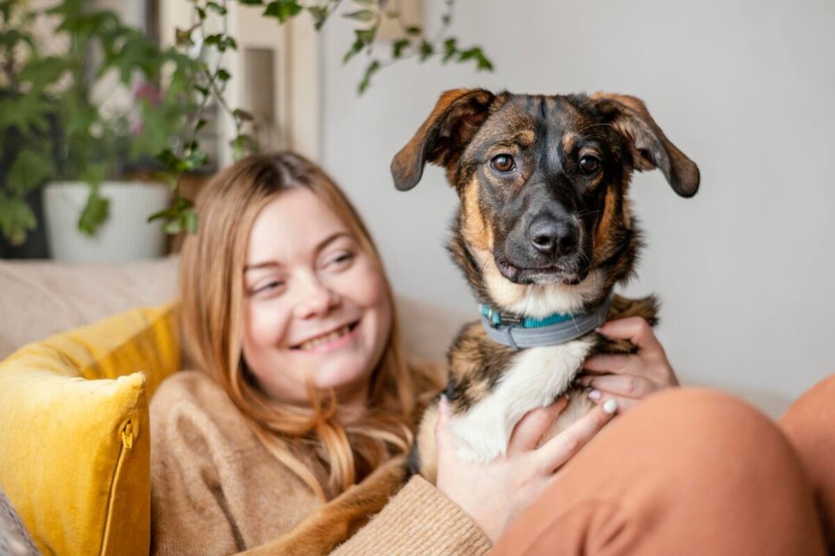 Descubre por qué tu perro se pone siempre encima tuyo.