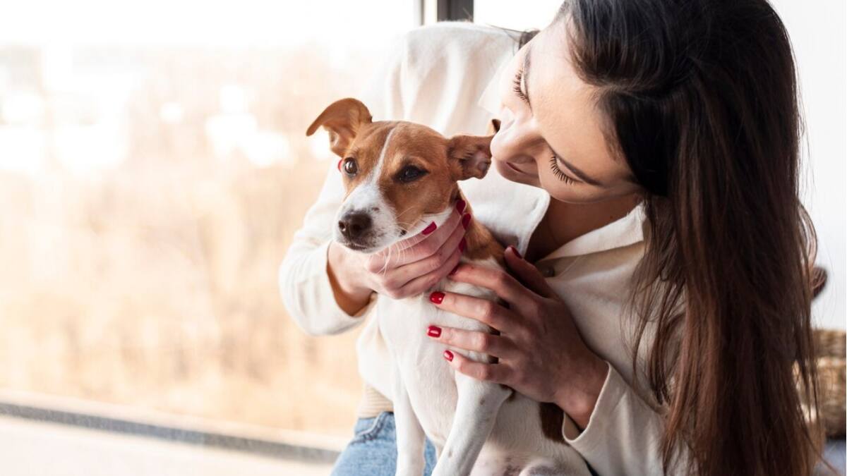 ¿Cómo cuidar a tus mascotas de las alergias primaverales? Conoce las recomendaciones de los expertos