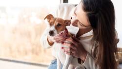 ¿Cómo cuidar a tus mascotas de las alergias primaverales? Conoce las recomendaciones de los expertos