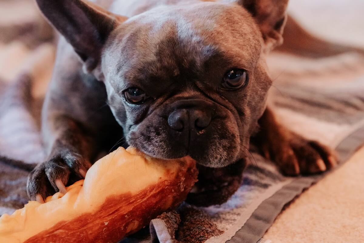 Estos son los alimentos que no pueden comer durante las celebraciones.