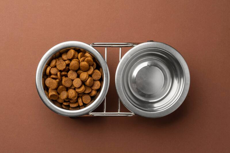 Es importante también saber cuál es el mejor material para los platos de comida y agua.