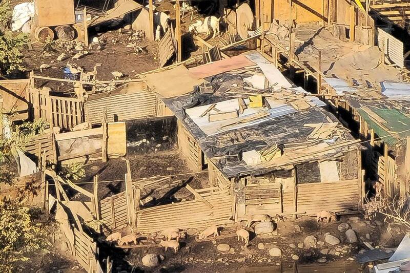 Los vecinos del sector denunciaron que en el lugar se faenaban y comercializaba carne de animales de forma ilegal.