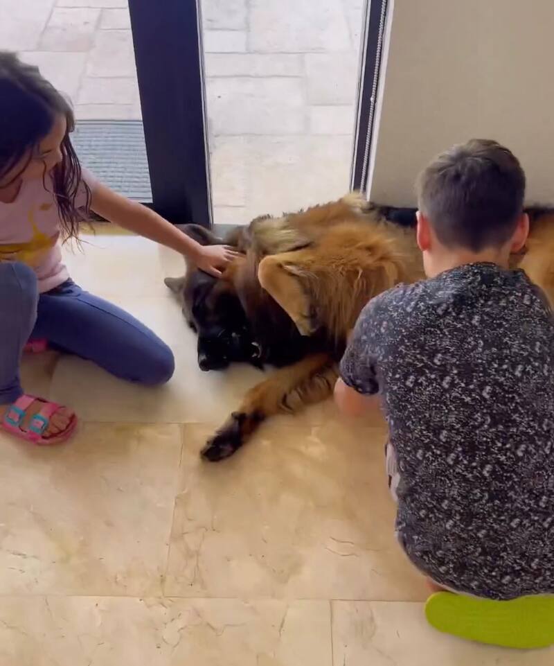 El primero de sus mascotas en llegar fue su perro Black / Instagram