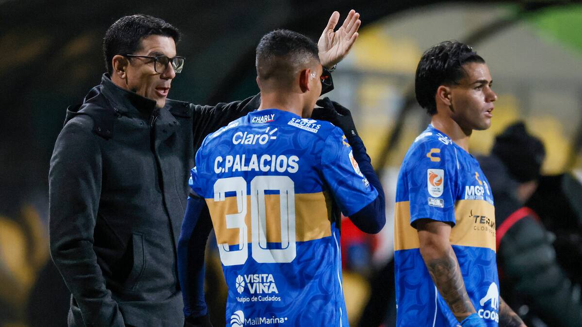 Dos viejos conocidos: las opciones de Everton para reemplazar a Mauricio Larriera como DT