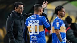 Dos viejos conocidos: las opciones de Everton para reemplazar a Mauricio Larriera como DT