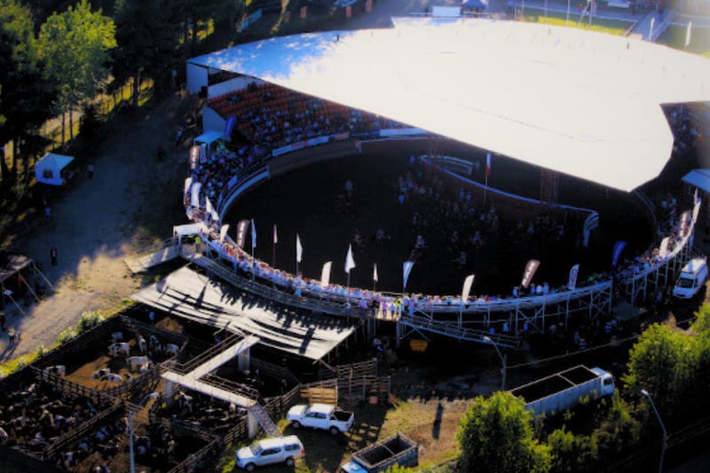 El lugar que reúne música en vivo, gastronomía y la gran cerveza. Créditos: .caballoyrodeo.cl