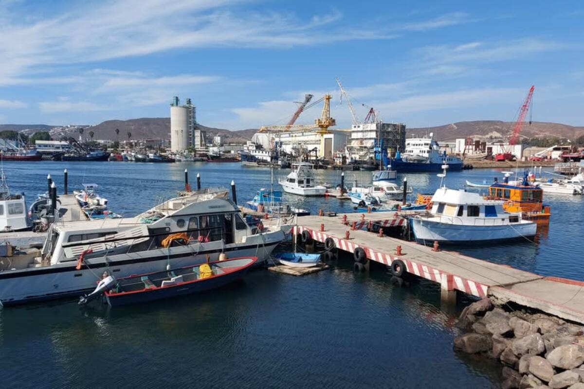 Espera multiplicar por 15 la actual capacidad de carga de contenedores.