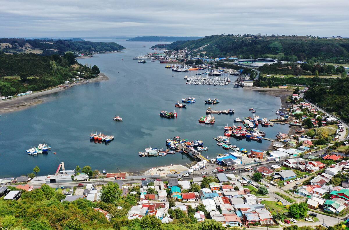 MOP confirma megaproyecto pesquero en esta región de Chile: inversión será de más de $8.000 millones