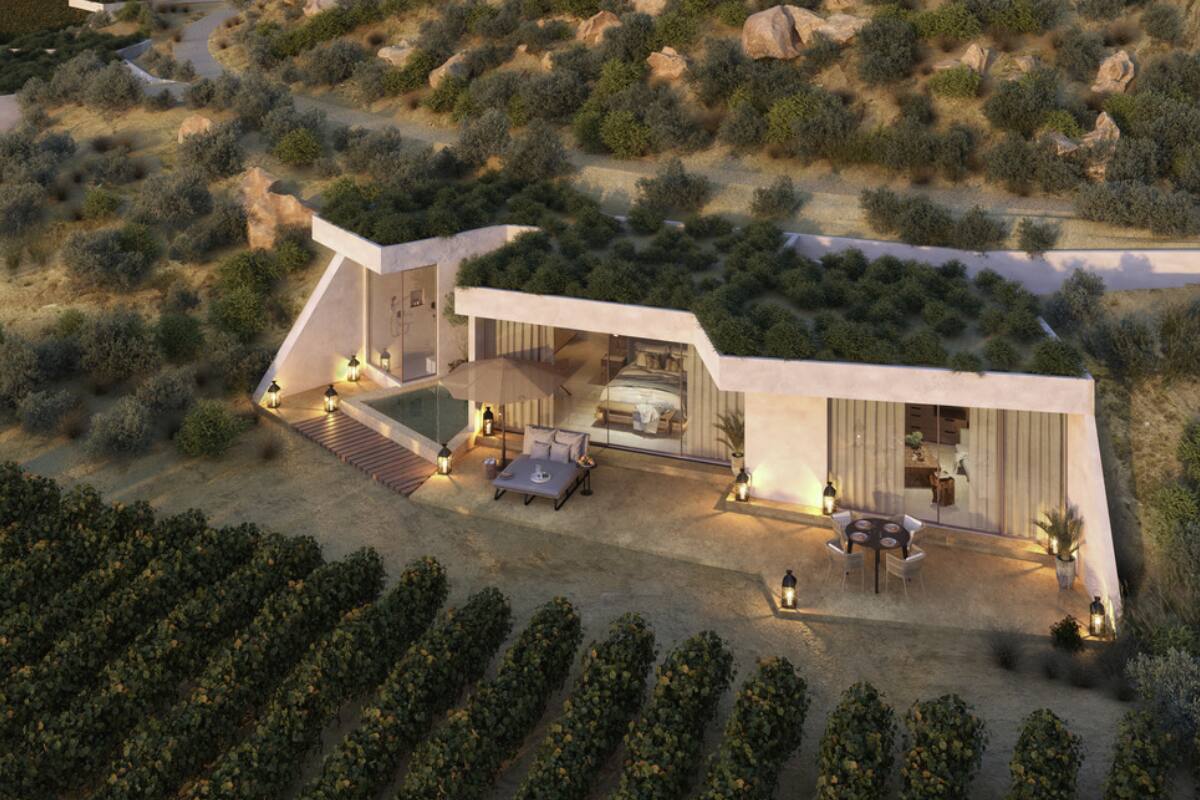 Revisa cuáles fueron los escogidos.