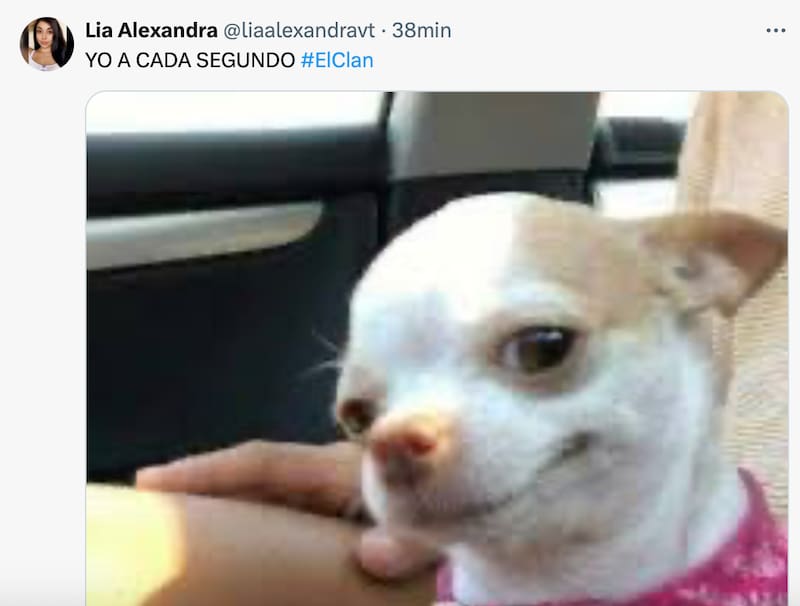 La mejores reacciones del programa de Pangal Andrade.