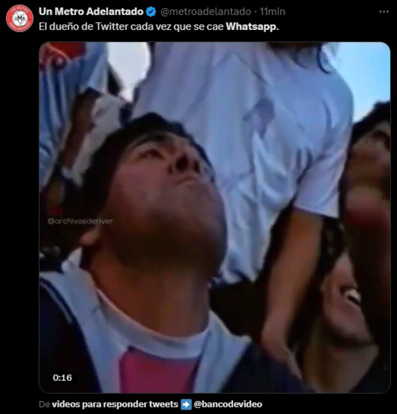 Estos son los virales tras la falla de WhatsApp.