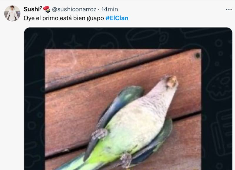 La mejores reacciones del programa de Pangal Andrade.