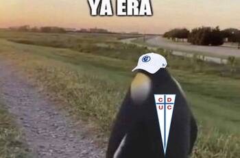 Los mejores memes tras la derrota de la UC que selló la salida de Tiago Nunes
