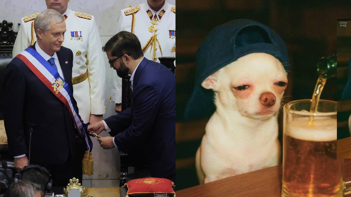 Los memes que dejó el Cambio de Mando 2026: las redes sociales se dividieron