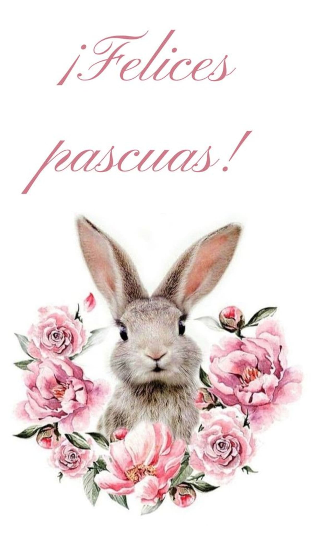 Estas son las mejores imágenes para enviar en Pascua por WhatsApp.