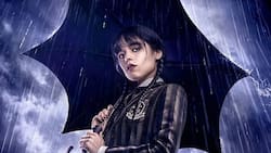 “Merlina”, segunda temporada: Estos son los nuevos actores de la serie de Netflix