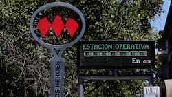 Reabren estaciones de Metro de Santiago en Línea 2 tras emergencia de este sábado