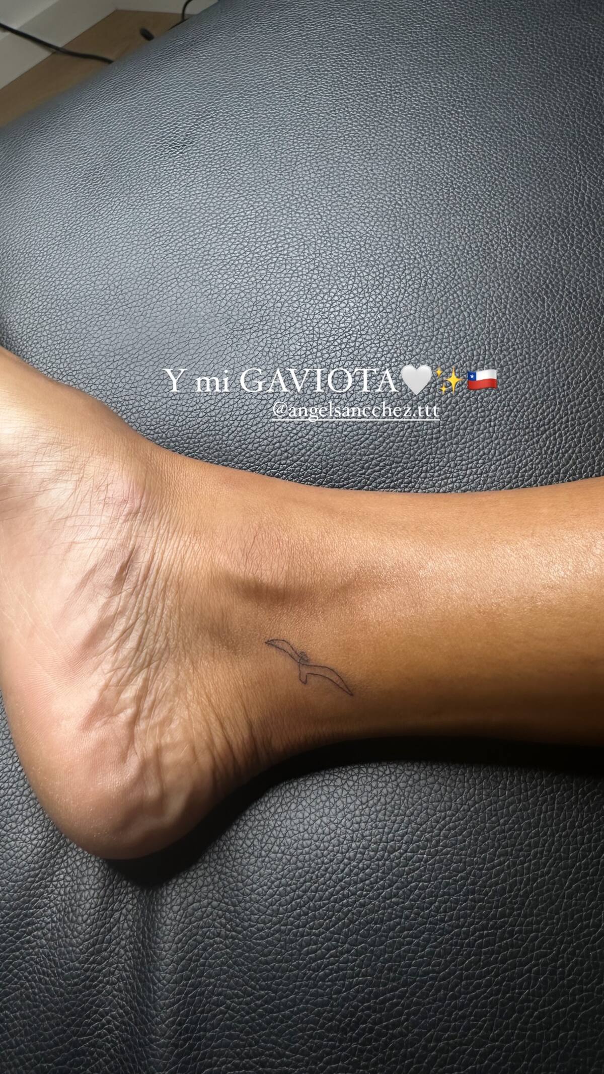 La compositora celebró su nuevo tatuaje y mando cariños a Chile. Créditos: @niacorreia en Instagram.