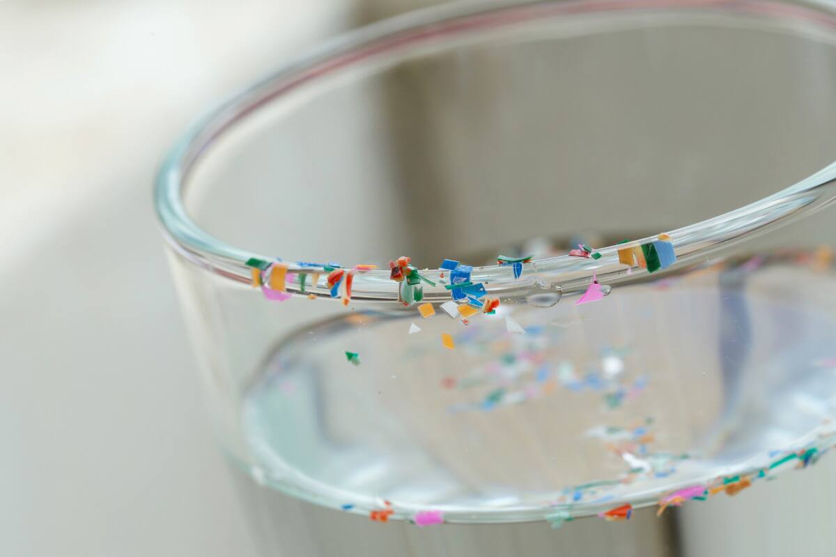 Revisa cuál es el método para eliminarlos del agua.