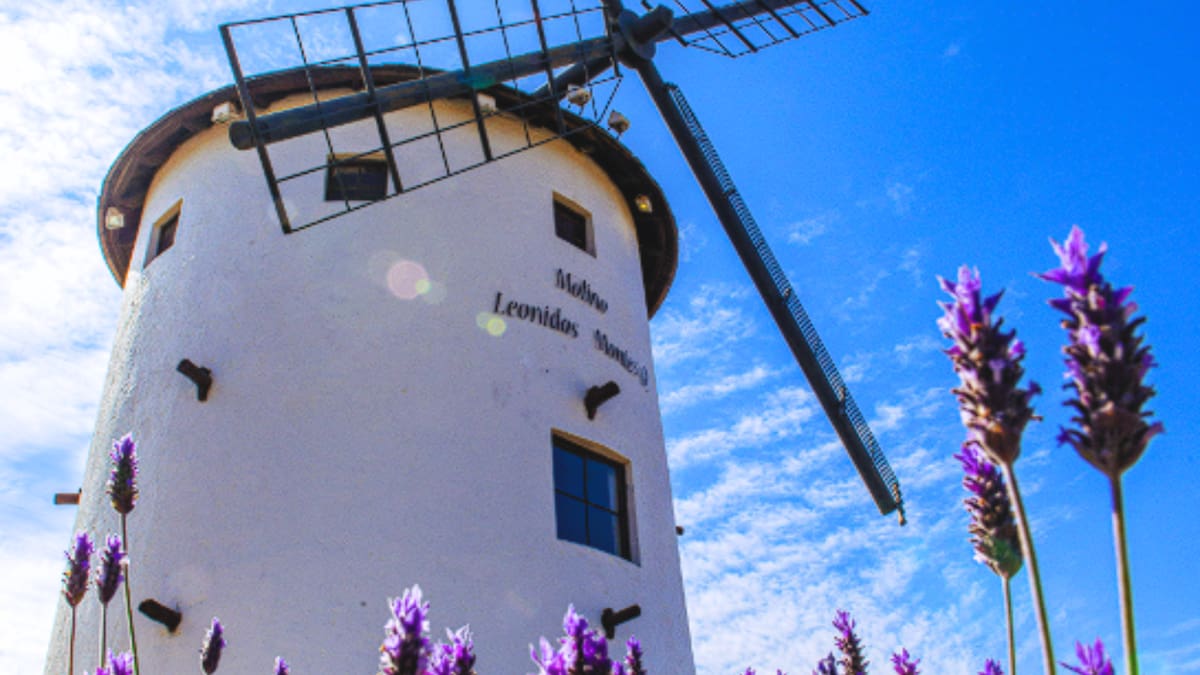 Parece sacado de Europa: el impresionante molino de viento escondido en Lo Barnechea y que puedes visitar gratis